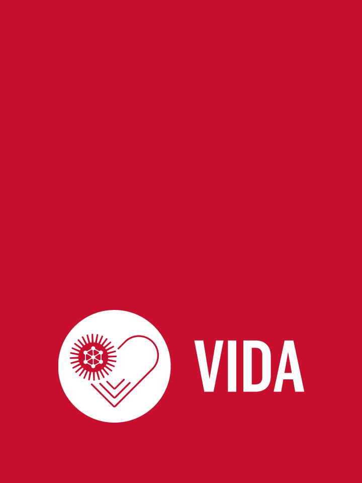 Vision, Integrity, Development, Action (VIDA)