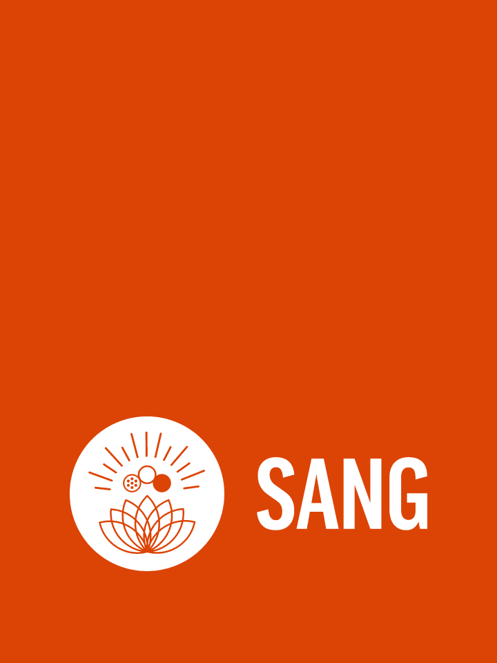 South Asian Network (SANG)