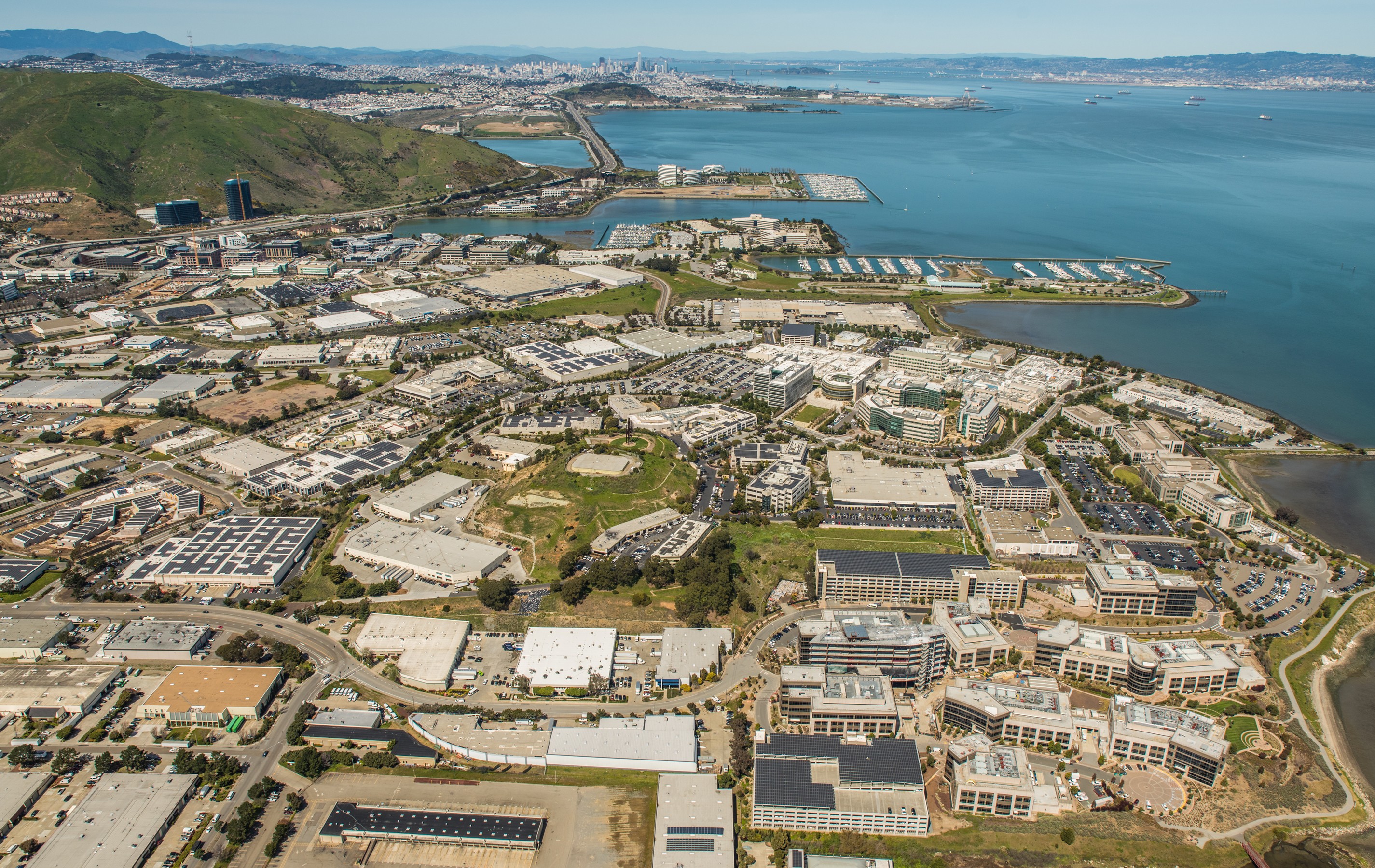 Genentech Our Next Chapter in South San Francisco